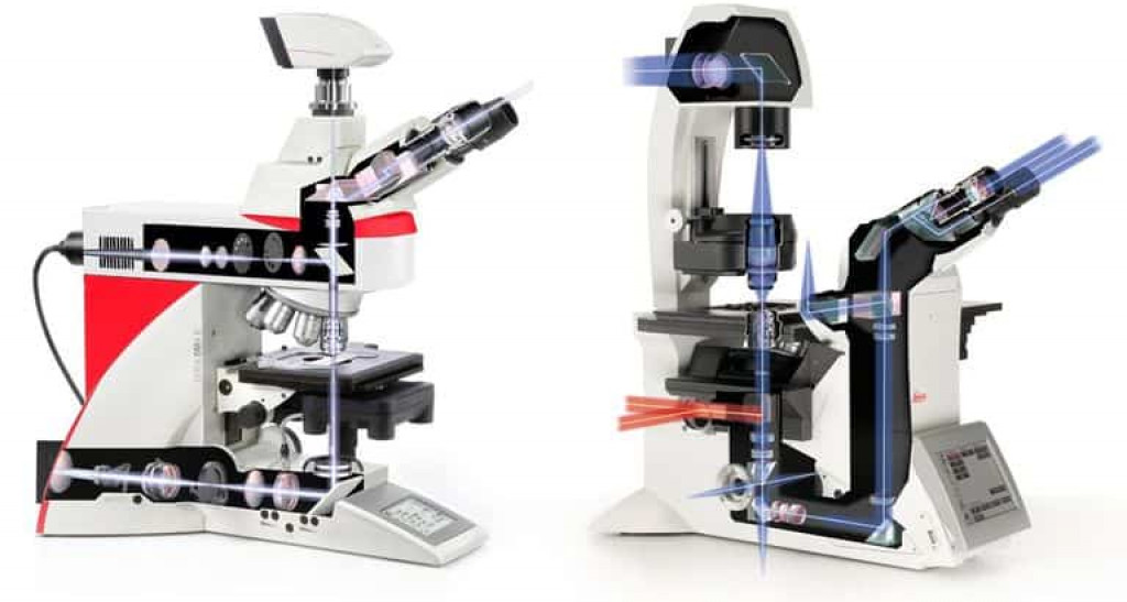 Factores a Considerar Al Seleccionar Un Microscopio De Investigación